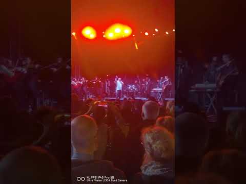 dr.Nele Karajlić i Stefan Milenković-Tri Ratna Havera(Rock El Clasico)