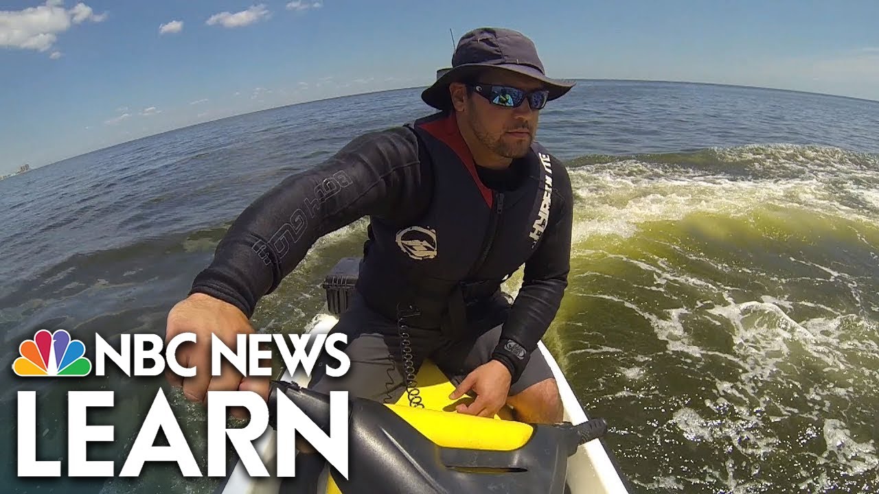 Fighting Coastal Erosion