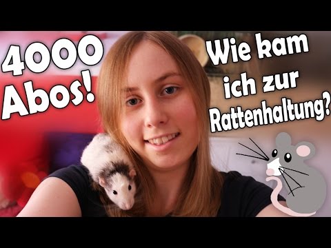 21 Neu Chinchilla Käfig Einrichtung Kaufen Grafiken 21 Neu Chinchilla Käfig Einrichtung Kaufen Grafiken