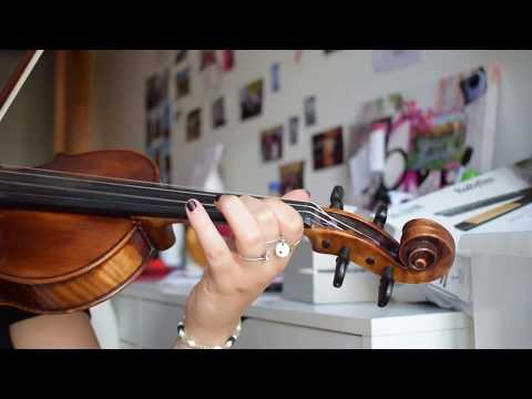Señorita cover violon