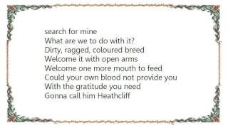 Cliff Richard - Gypsy Bundle Lyrics
