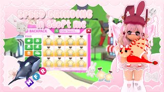 Speed Grinding In ADOPT ME! 😱2 HOUR Speed Grind! Aging Up ORCAS 🦁 | 💕BlossomBunnyBeb💕
