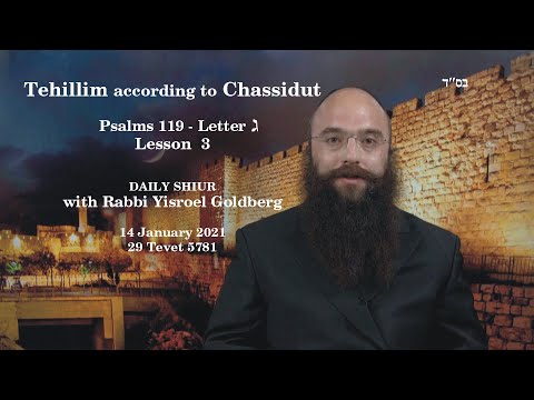 TEHILLIM according to CHASSIDUT - Tehillim 119 Letter ג - Lesson 3