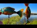 Video Thumbnail for Best Top Water Lure For Aggressive Northern PIKE! Life Like Prop Fish Lure!