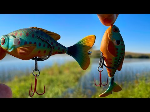 Best Top Water Lure For Aggressive Northern PIKE! Life Like Prop Fish Lure!