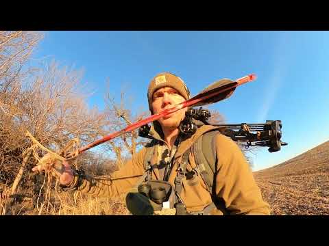 Oklahoma Archery Whitetail "TAGGED OUT" 2023