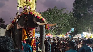 ചാവക്കാട് .വിശ്വനാഥ ക്ഷേത്രോൽസവം മണത്തല ചാവക്കാട്Viswanatha temple manathala chavakkad..
