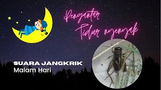 Download lagu Suara Jangkrik Pengantar Tidur Nyenyak mp3 Download lagu Suara Jangkrik Pengantar Tidur Nyenyak mp3
