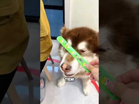 Condivisione affettuosa dei braccialetti tra fratelli e amici 💖👫✨