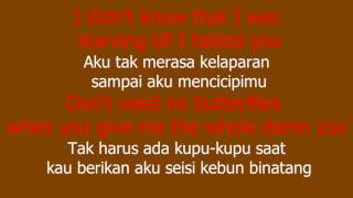 Download lagu Lirik laguHailee Steinfeld Starving dan Terjemahan mp3 Download lagu Lirik laguHailee Steinfeld Starving dan Terjemahan mp3