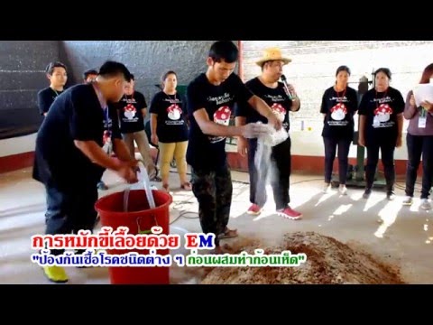 ไม่วิ่งแรง ค้อนลดลงของ ธ อร์