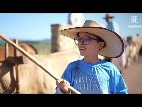 Romaria 2025 - São Patrício - GO