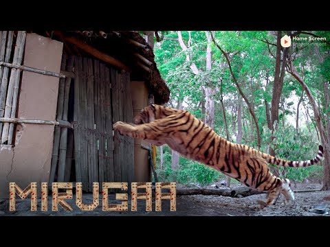 Mirugaa Movie Scenes | Srikanth is favorably impressed by Lakshmi | Srikanth | Raai Laxmi