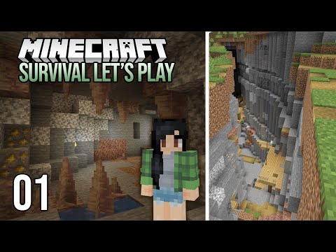 Minecraft 1.17 Single Player Survival Let's Play - Episode 1 - An Exciting New Start!