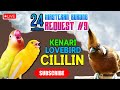 9 MASTERAN TEMBAKAN KENARI LOVEBIRD CILILIN MATERI LOMBA JERNIH ️
