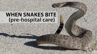 When Snakes Bite: Pre-Hospital Care