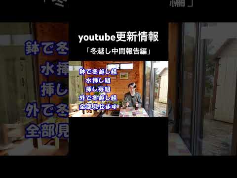 冬の終わりに、いつ、どのように庭の植物に水をやり始めますか？  庭園