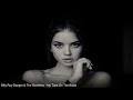 Billy Roy Danger & The Rectifiers - My Take On The Blues (Video Edit)