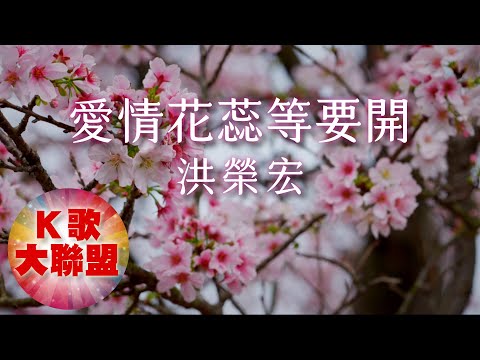 洪榮宏-愛情花蕊等要開【KTV導唱字幕】