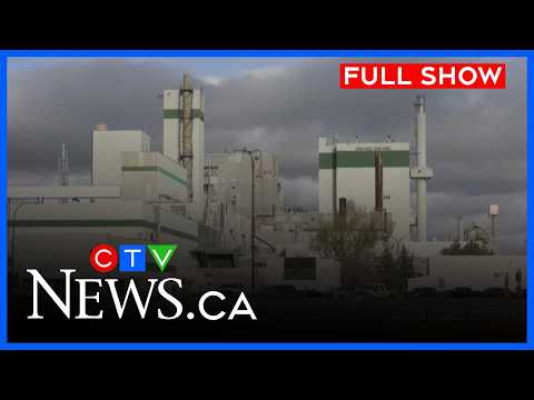 First new tenant for old Prince Albert pulp mill is announced | CTV News Prince Albert: Mar. 4, 2026