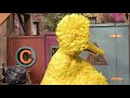 Sesame Street Season 34 Episode 4045 Ending For EddieKyteABCDEFG12345678910