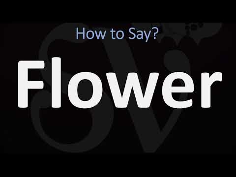 How to Pronounce Flower? (CORRECTLY)
