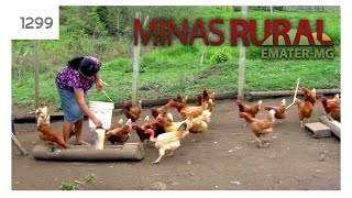 Miniatura do vídeo