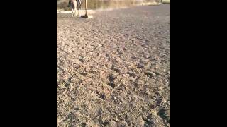 How I warm up my horse