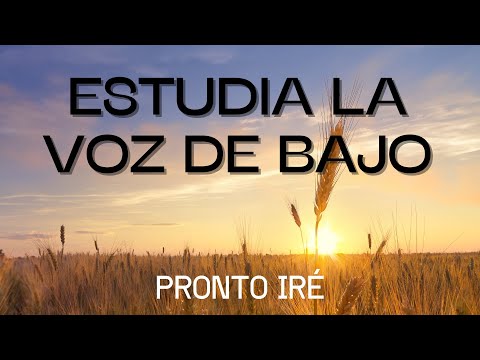 UN CANTO A CAPELA PARA ESTUDIAR.