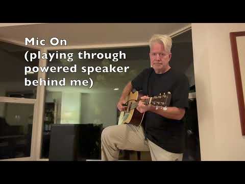 DPA 4099 CORE Instrument Microphone with Guitar Mounting Clip