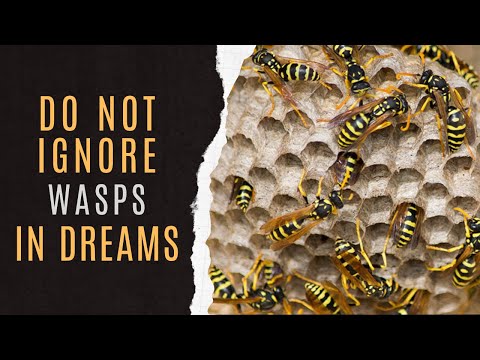 🐝Symbolism Of Wasp Dreams | Dreaming Of Wasp Interpretation | Spiritual Meaning Of Wasp Dream