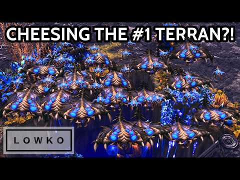 Bly won't stop ZERG RUSHING Clem! (StarCraft 2)