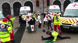 preview picture of video 'The Irish Red Cross do the Harlem Shake at the Point Village, Dublin'