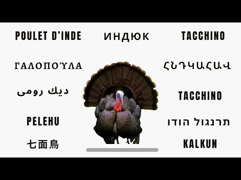 Interesting Names of Turkey in Other Languages