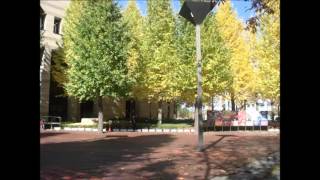 稲垣潤一のクリスマスキャロルが流れる頃にはCover by Katu