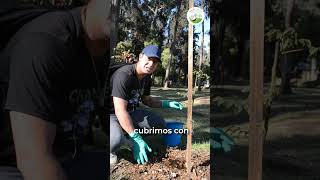 Participamos en el voluntariado en el Bosque de San Carlos