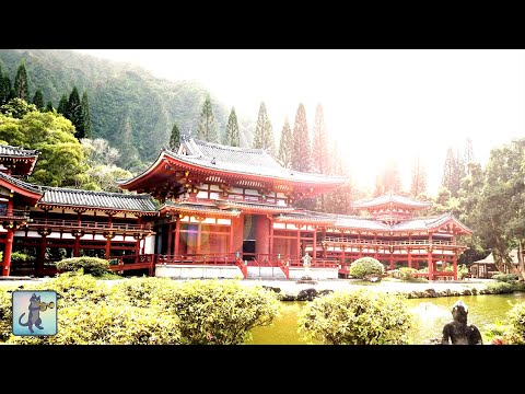 3 HOURS Best Traditional Japanese Music for Relaxing, Stress Relief & Healing