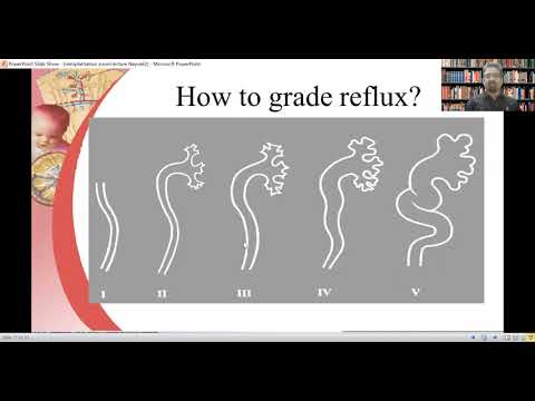 Lecture on Vesico Ureteric Reflux by @Pediatric-Urologist