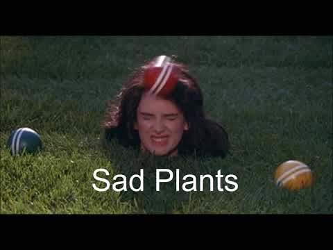 Winona - Sad Plants