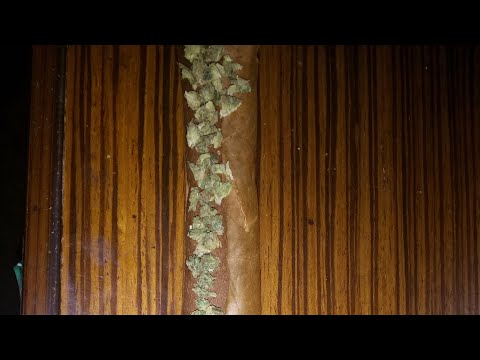 Extendo way on gang ☘️💲🌴🙏