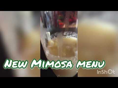 download lagu mp3 mp4 Mimosa Menu, download lagu Mimosa Menu gratis, unduh video klip Mimosa Menu