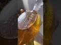 Expectation vs reality   small business edition #war #winewar #whiskey #whiskeydecanter #wine #high