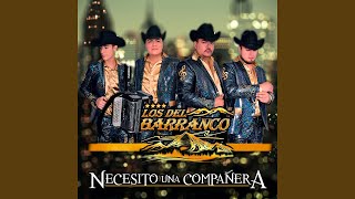 Necesito una Compañera