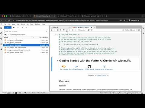 Create Text Embeddings for a Vector Store using LangChain GSP1233