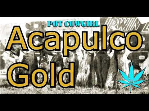 Weed Review: Big Buddha Cheese and Acapulco Gold