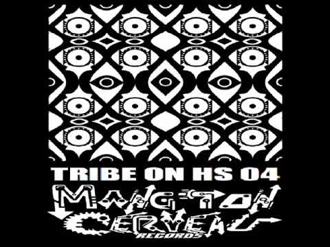 Disakortex - Explain The Tribe (Tribe On Hs 04) MTC Records