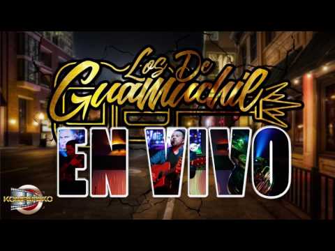 Los De Guamuchil -El Pajuelazo, El Junior [Fiesta Privada 2017]