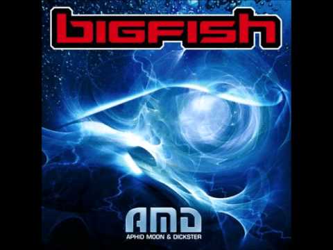 AMD (Aphid Moon & Dickster) - Morning Glory