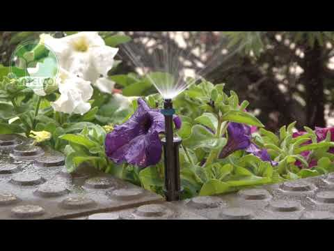 Antelco Micro Jet de dos piezas.