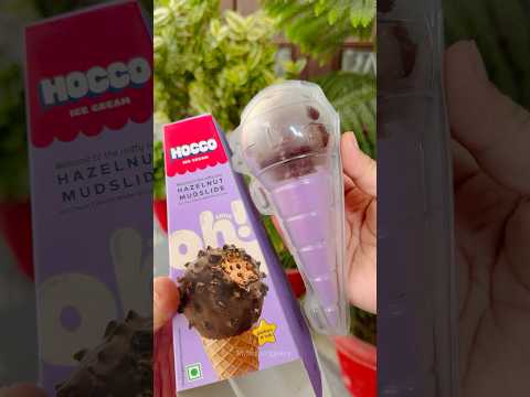 Ye ice cream try ki hai? #hocco #myfunfoodgallery #shorts